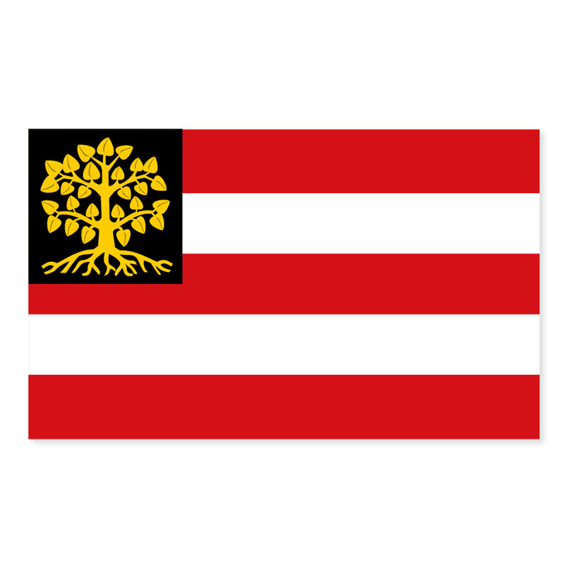 Flag 's-Hertogenbosch